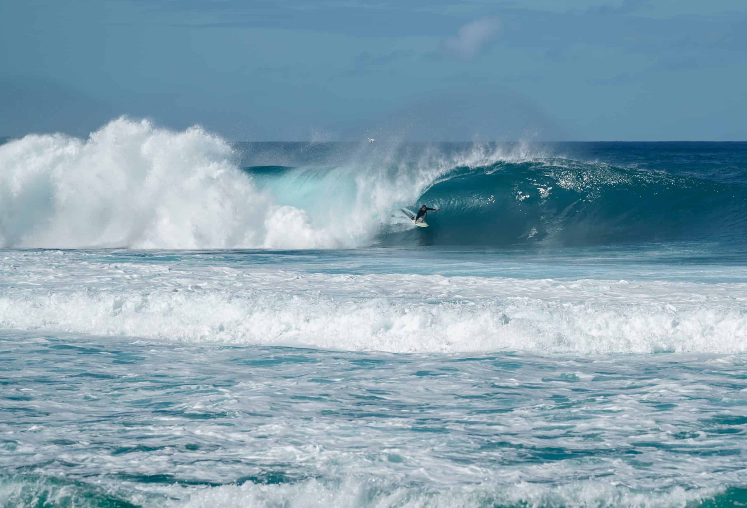 Eddie Would Go: The Story of Eddie Aikau, Hawaiian Hero and Pioneer of Big  Wave Surfing